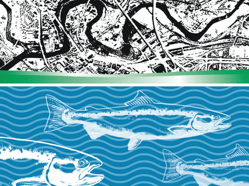 Salmon-Safe Assessment