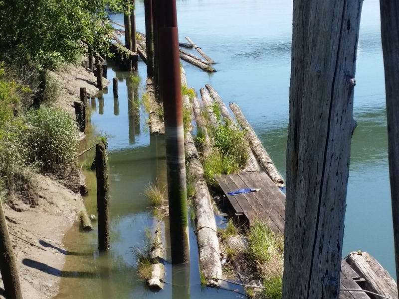 Snohomish River sediment sampling