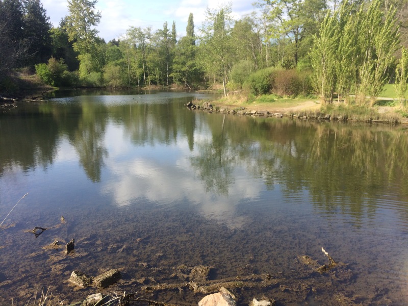 Titlow sediment sampling
